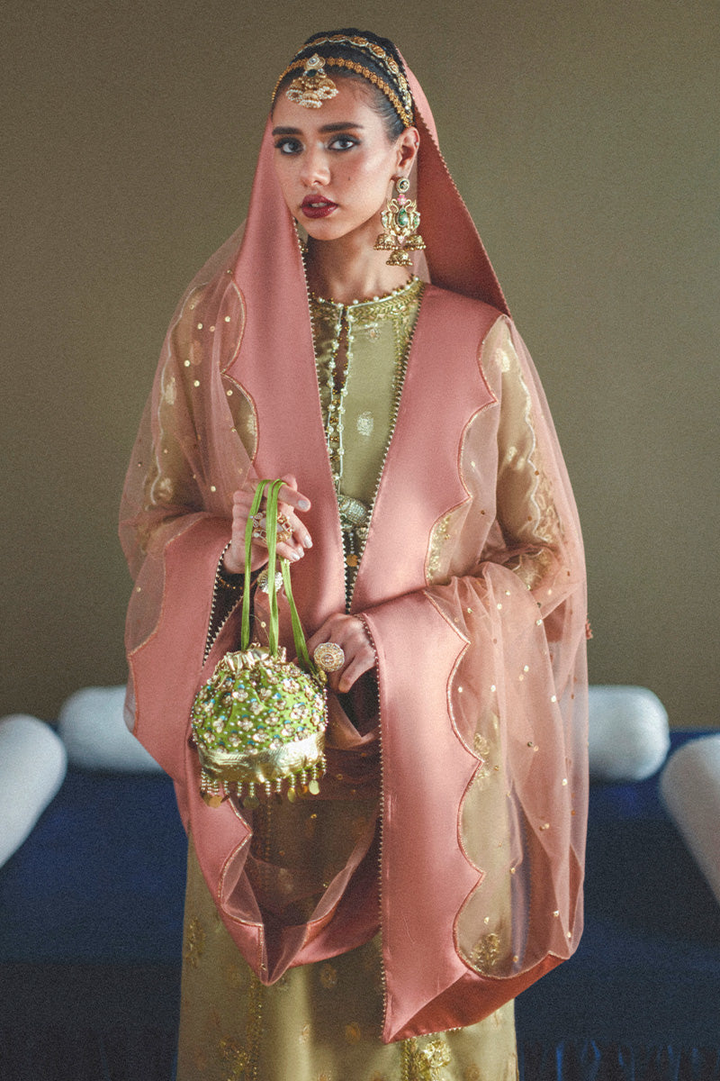 Haute Form I Dastaan Luxury Formals I Rumi