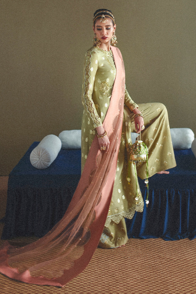 Haute Form I Dastaan Luxury Formals I Rumi