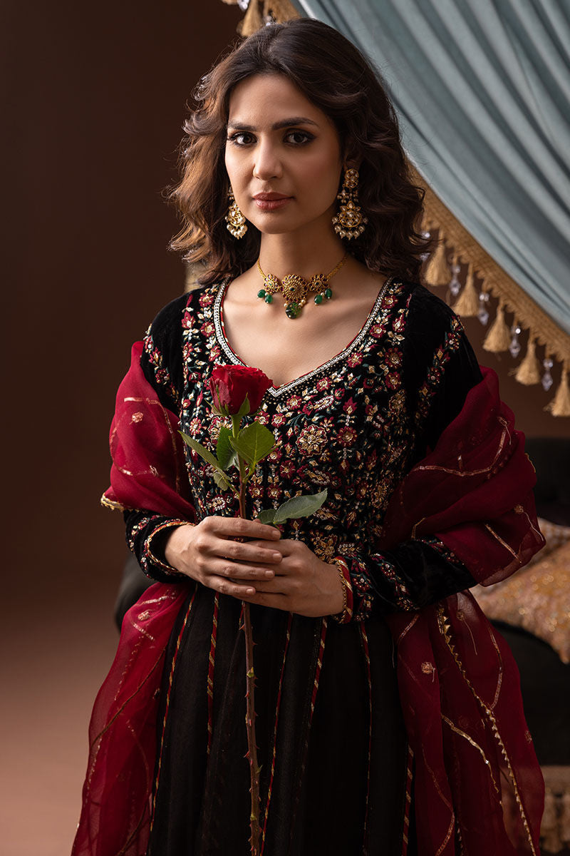 Ansab Jahangir | Bow Velvet Edit | ELAINE