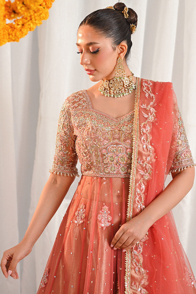 Ansab Jahangir | Marigold and Gota Formals | SHAHNOOR