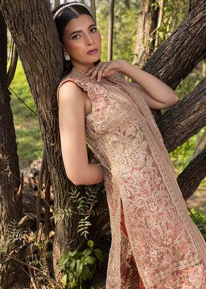HSY | Summer Edit | Peach Terracotta