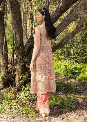 HSY | Summer Edit | Peach Terracotta