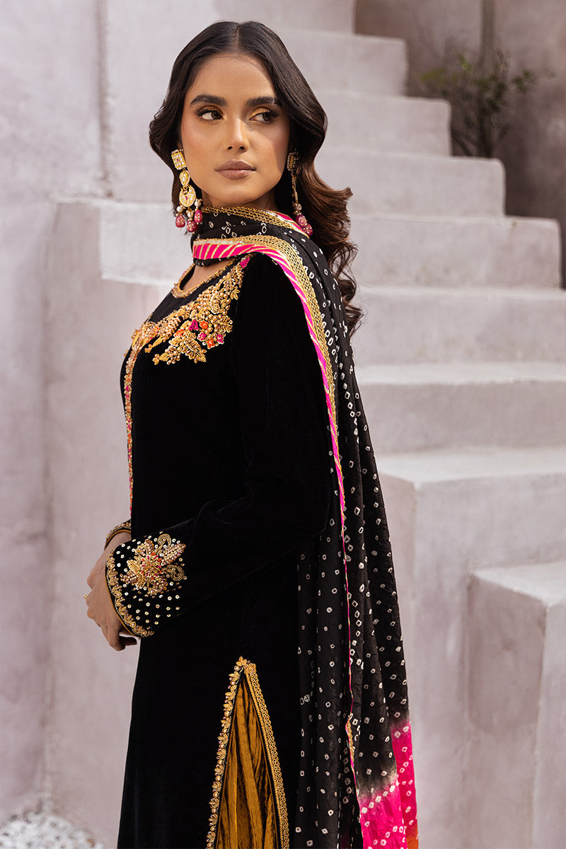 Chic Ophicial | Velveteen Luxury Fall Collection |  Leyla