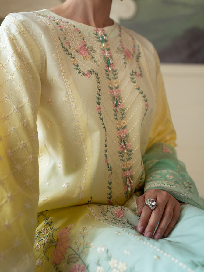 Faiza Faisal | Celine Eid Collection 24 | NOOR