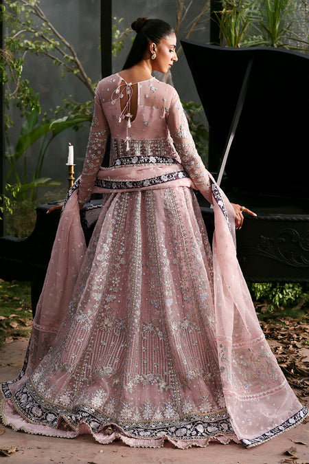 Afrozeh | La Fuschia 25 | Zeal