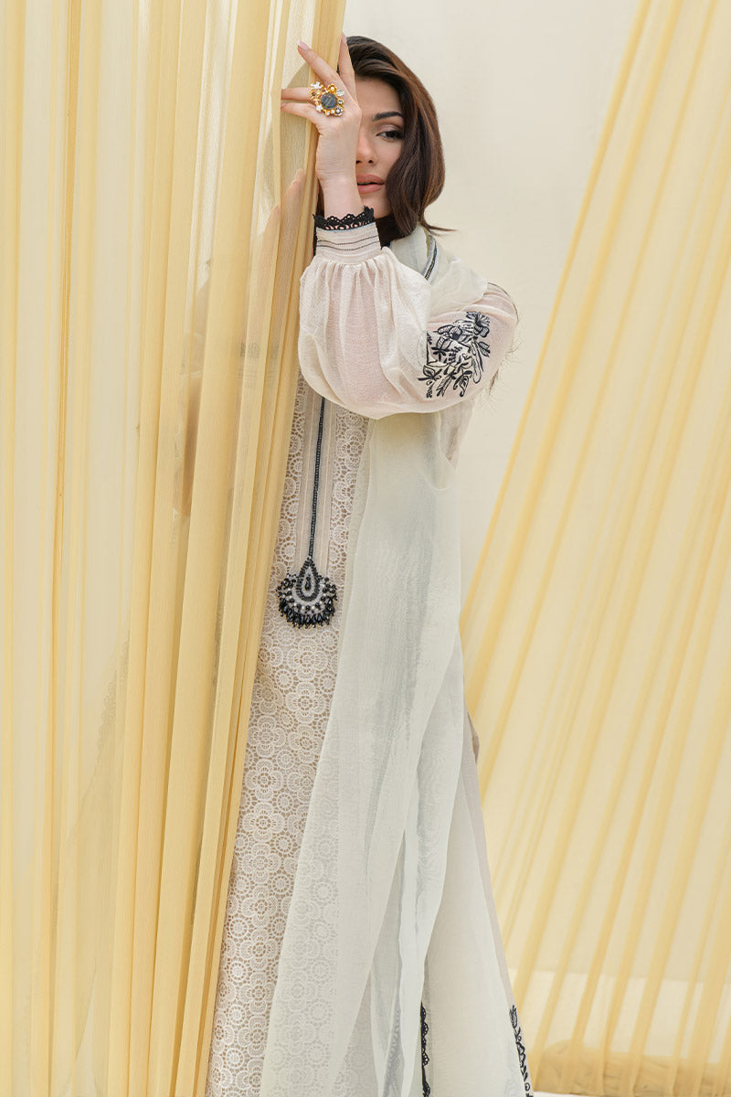 Chic Ophicial | Alaya Festive Formals | Aaliya