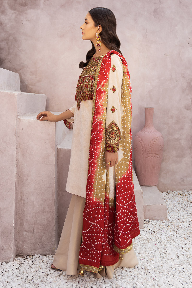 Chic Ophicial | Velveteen Luxury Fall Collection | Sona