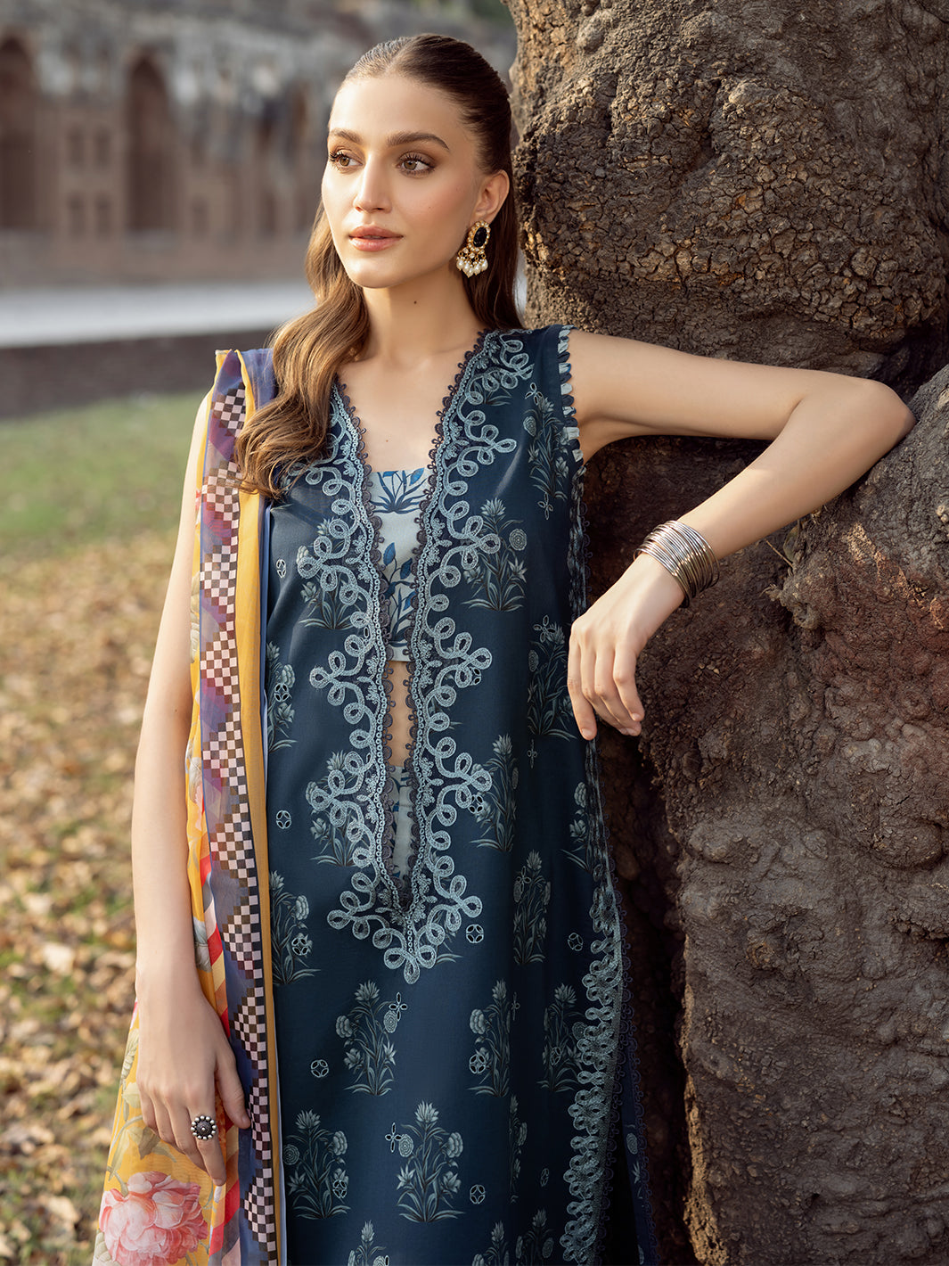 Bin Ilyas | Naqsh Naaz Luxury Lawn 25 | 2082 - B