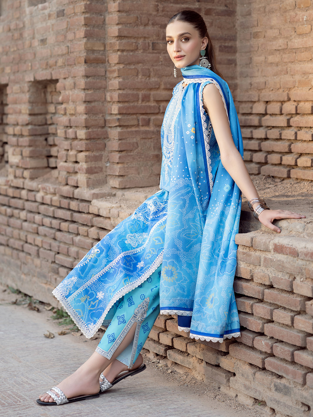 Bin Ilyas | Naqsh Naaz Luxury Lawn 25 | 2084 - B