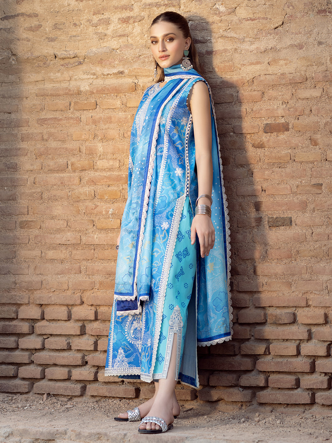 Bin Ilyas | Naqsh Naaz Luxury Lawn 25 | 2084 - B