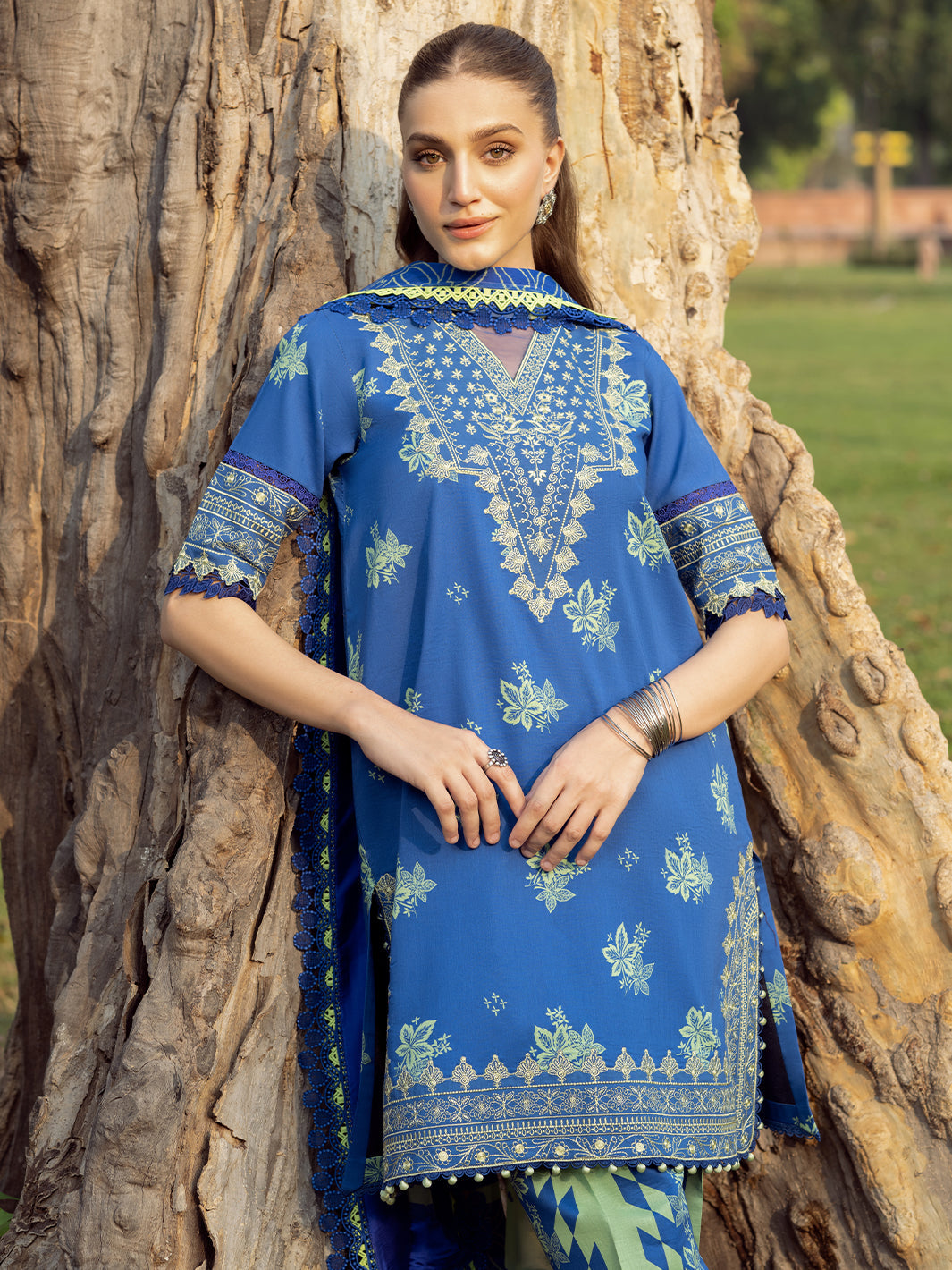 Bin Ilyas | Naqsh Naaz Luxury Lawn 25 | 2088 - B