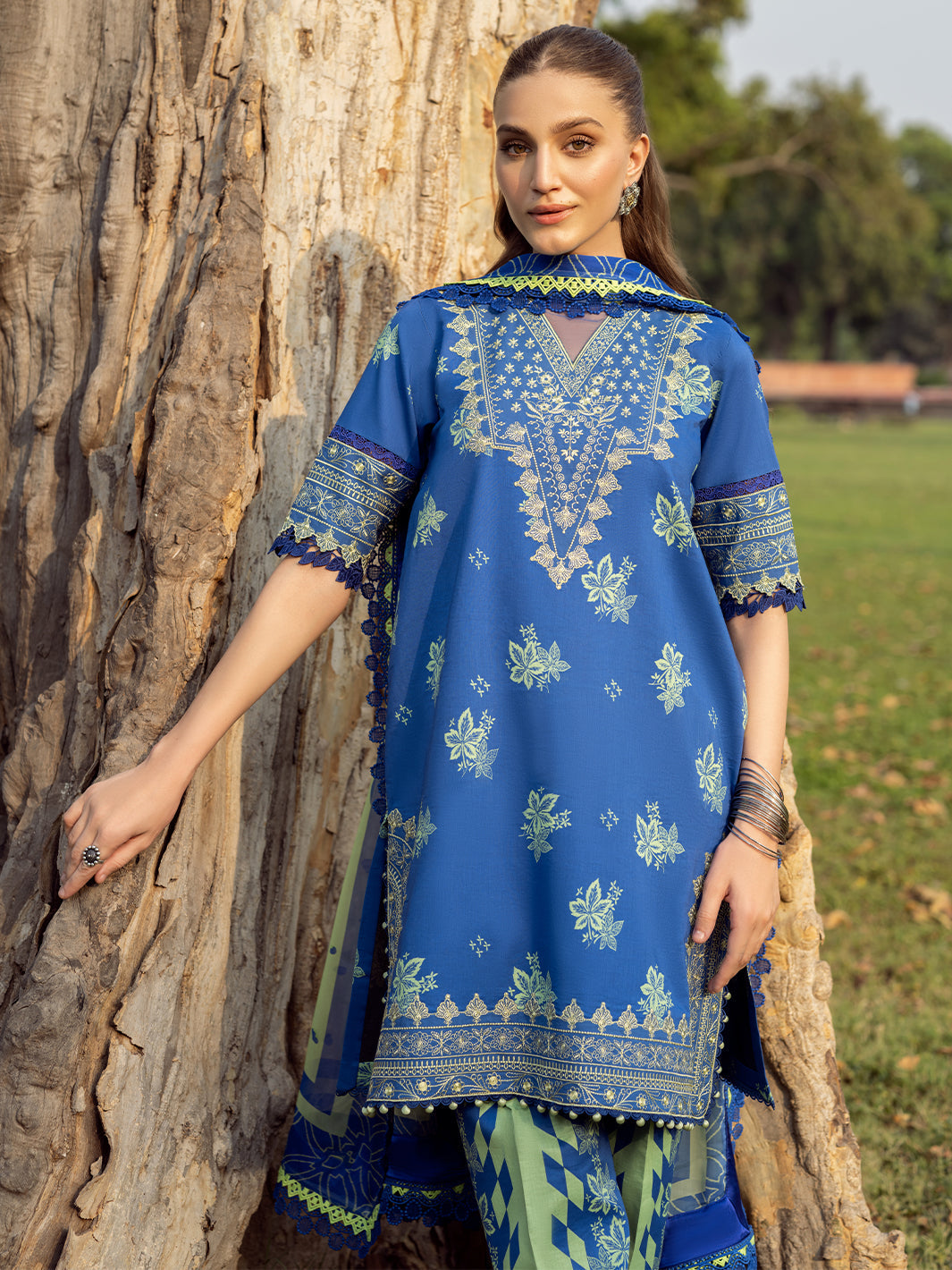 Bin Ilyas | Naqsh Naaz Luxury Lawn 25 | 2088 - B