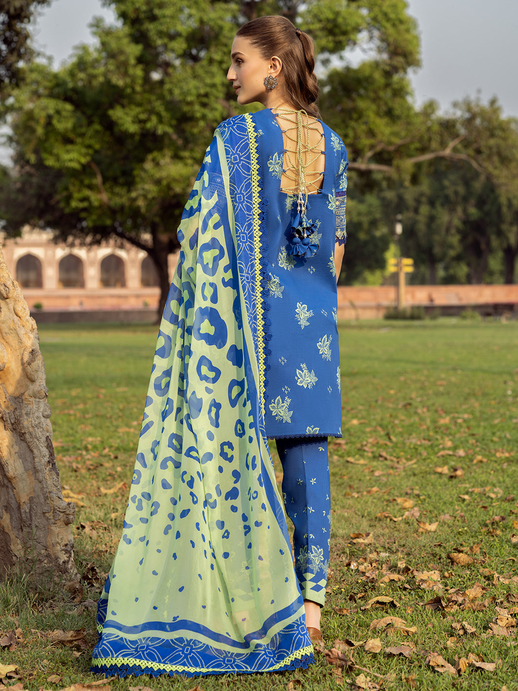 Bin Ilyas | Naqsh Naaz Luxury Lawn 25 | 2088 - B