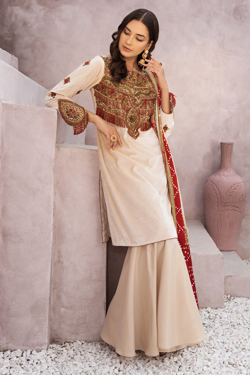 Chic Ophicial | Velveteen Luxury Fall Collection | Sona