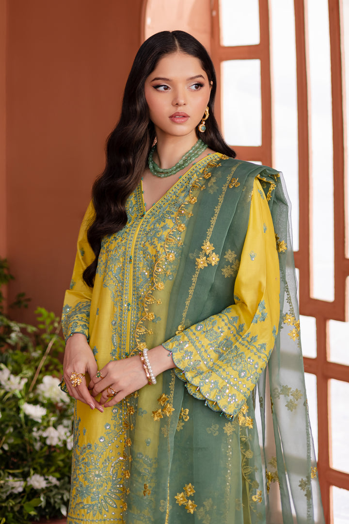 Batik | Aylin Festive Solids | Zane