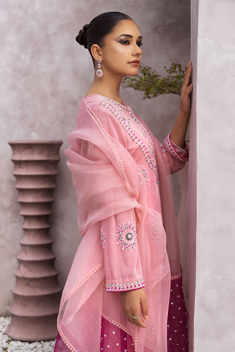 Chic Ophicial | Velveteen Luxury Fall Collection |  Narmin