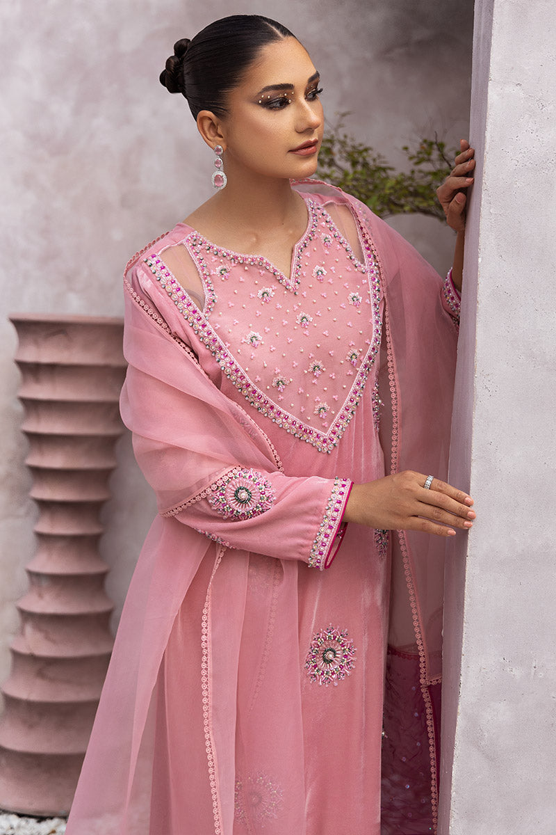 Chic Ophicial | Velveteen Luxury Fall Collection |  Narmin