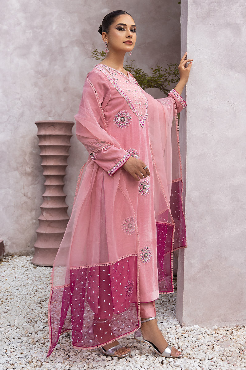 Chic Ophicial | Velveteen Luxury Fall Collection |  Narmin