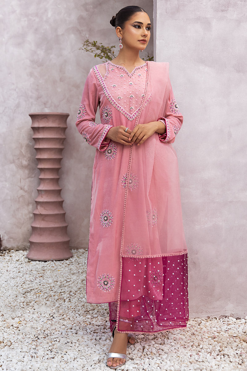 Chic Ophicial | Velveteen Luxury Fall Collection |  Narmin