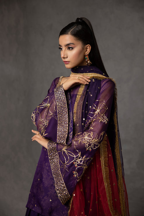 Amani | The Wedding Guest | CHANDNI