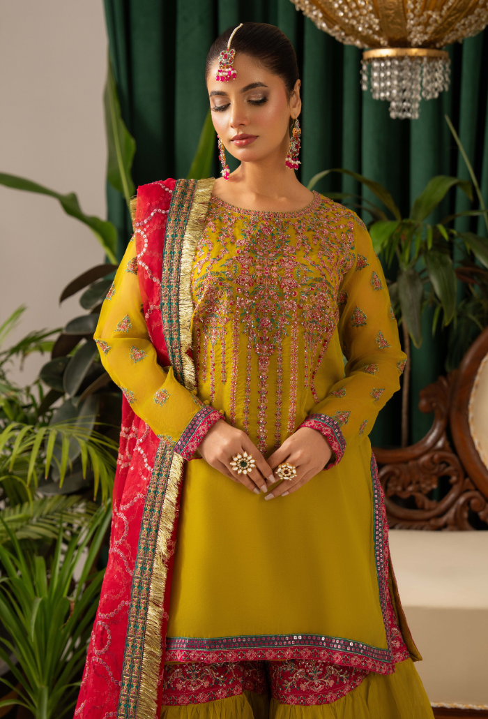 Humdum | Chiffon Collection | HOC - D06
