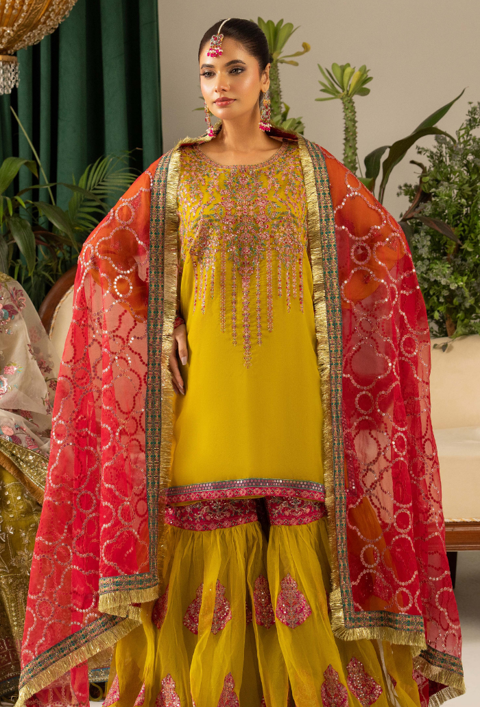 Humdum | Chiffon Collection | HOC - D06