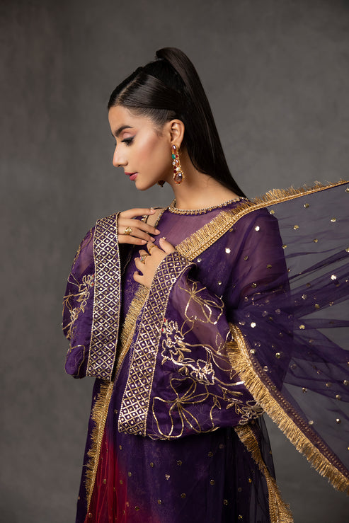 Amani | The Wedding Guest | CHANDNI