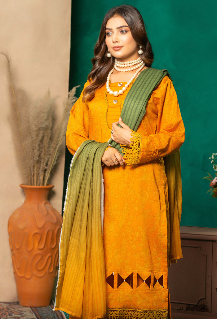 Humdum | AANGAN SS 24 | Aangan - D05