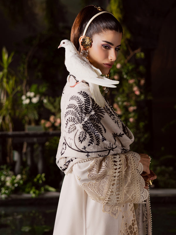 Mahnur | Amelia Luxury Winter 25 |CK-003 Kotrai