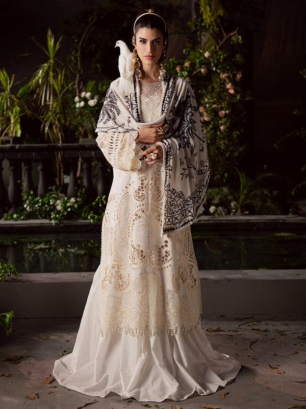 Mahnur | Amelia Luxury Winter 25 |CK-003 Kotrai