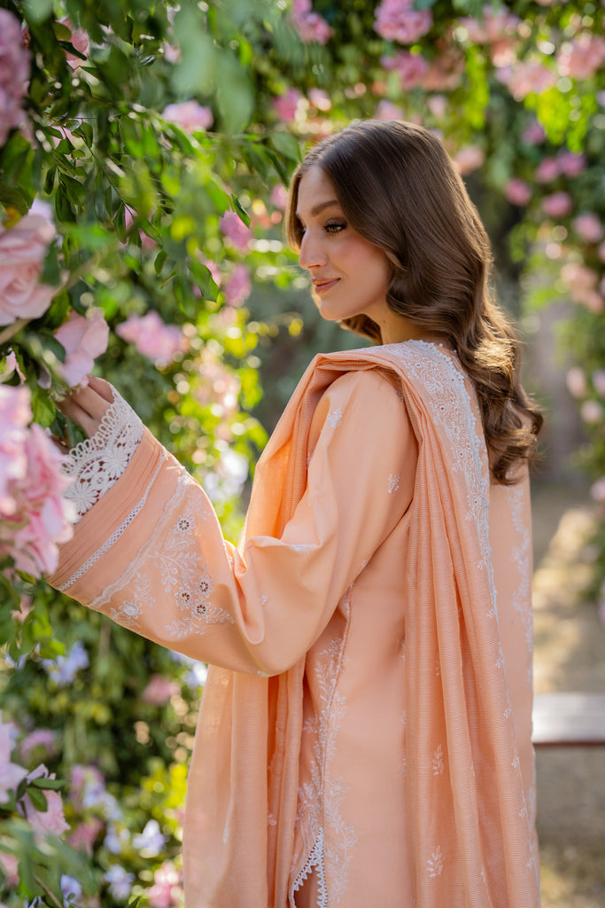 Florent | Chikankari Eid 25 | FLC-1B