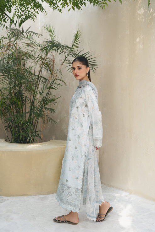 Aabyaan | Shezlin Chikankari 25 | DILARA (AF-04)