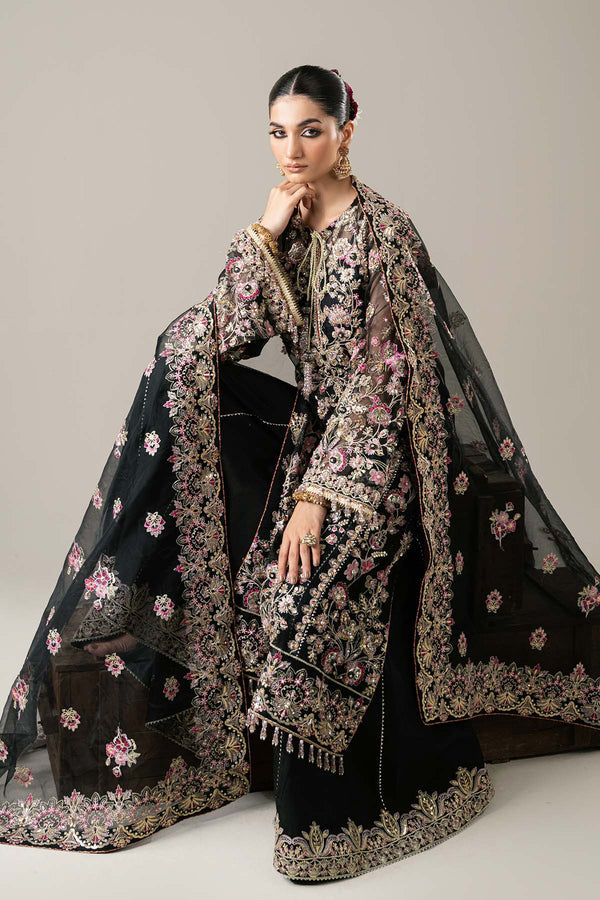 Enzo | Etoile Filante Luxury Collection | CLAIRE DE LUNE