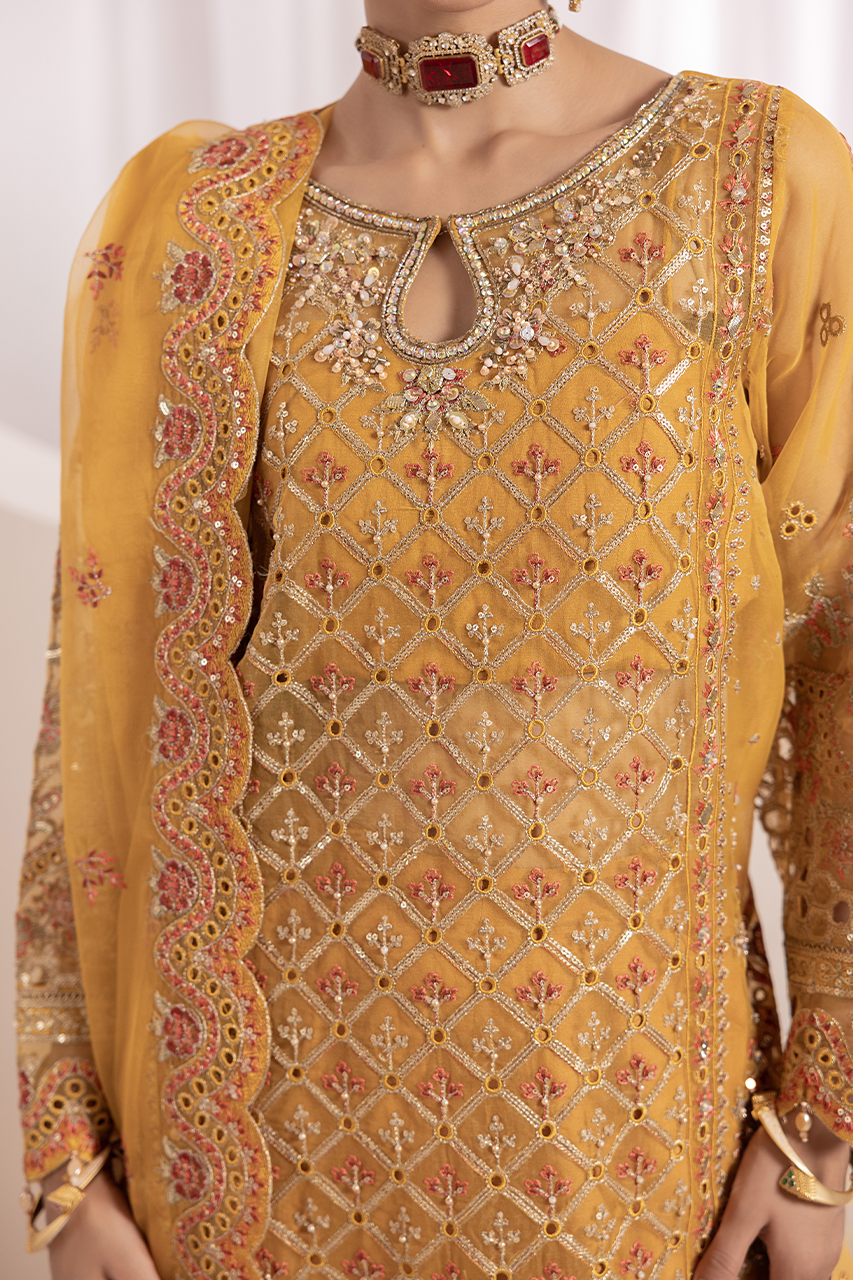 Diara Couture | Aaraish Formals | ZAFIA - US-646