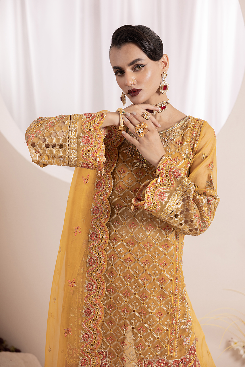 Diara Couture | Aaraish Formals | ZAFIA - US-646
