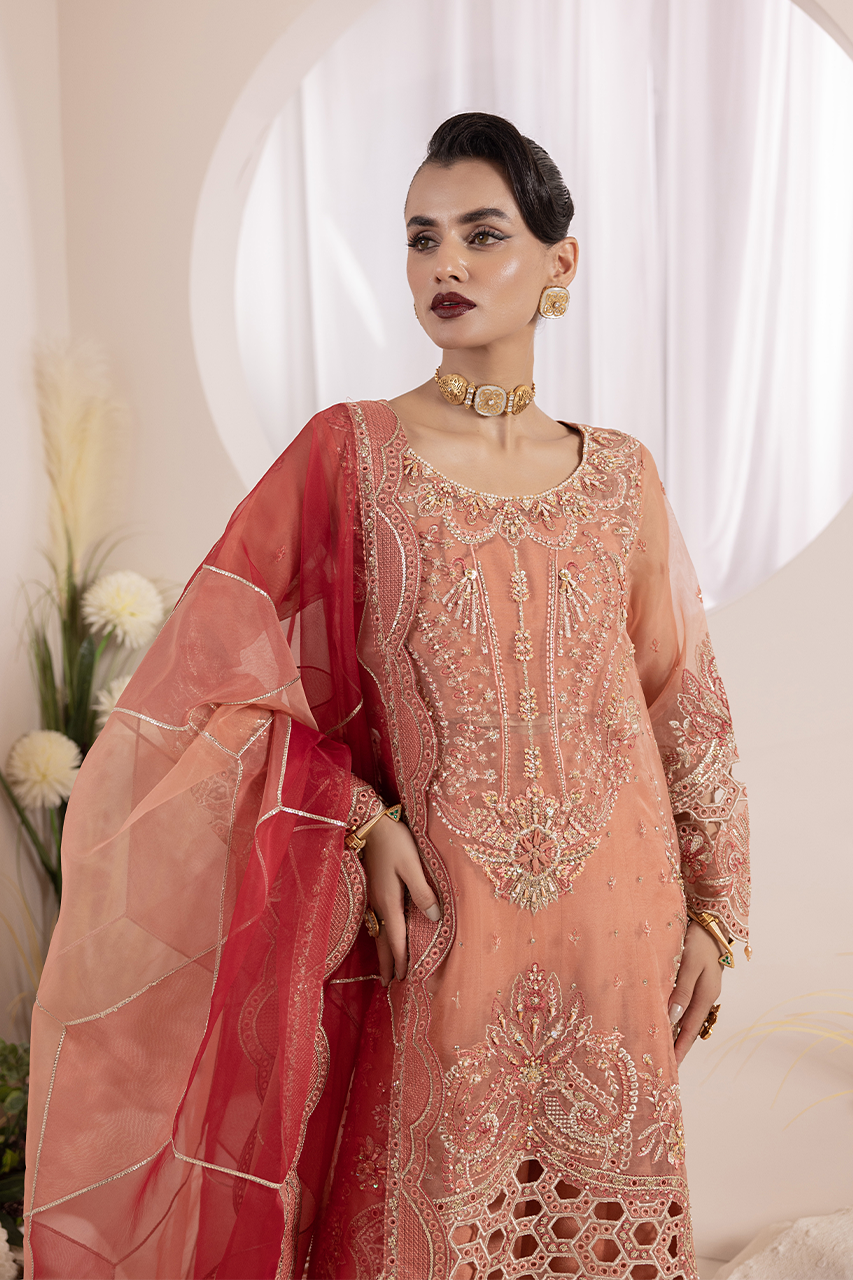 Diara Couture | Aaraish Formals |  NOSHEEN - US-645