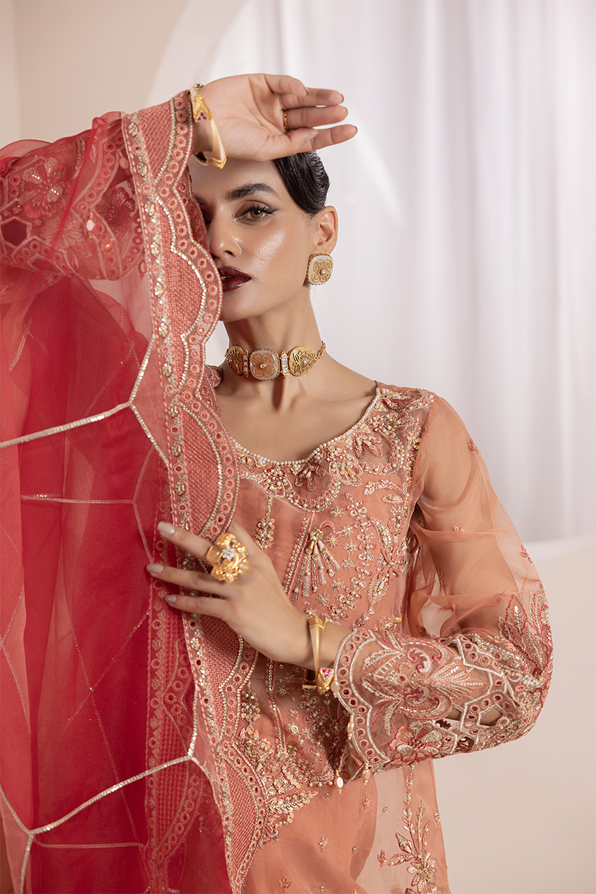 Diara Couture | Aaraish Formals |  NOSHEEN - US-645