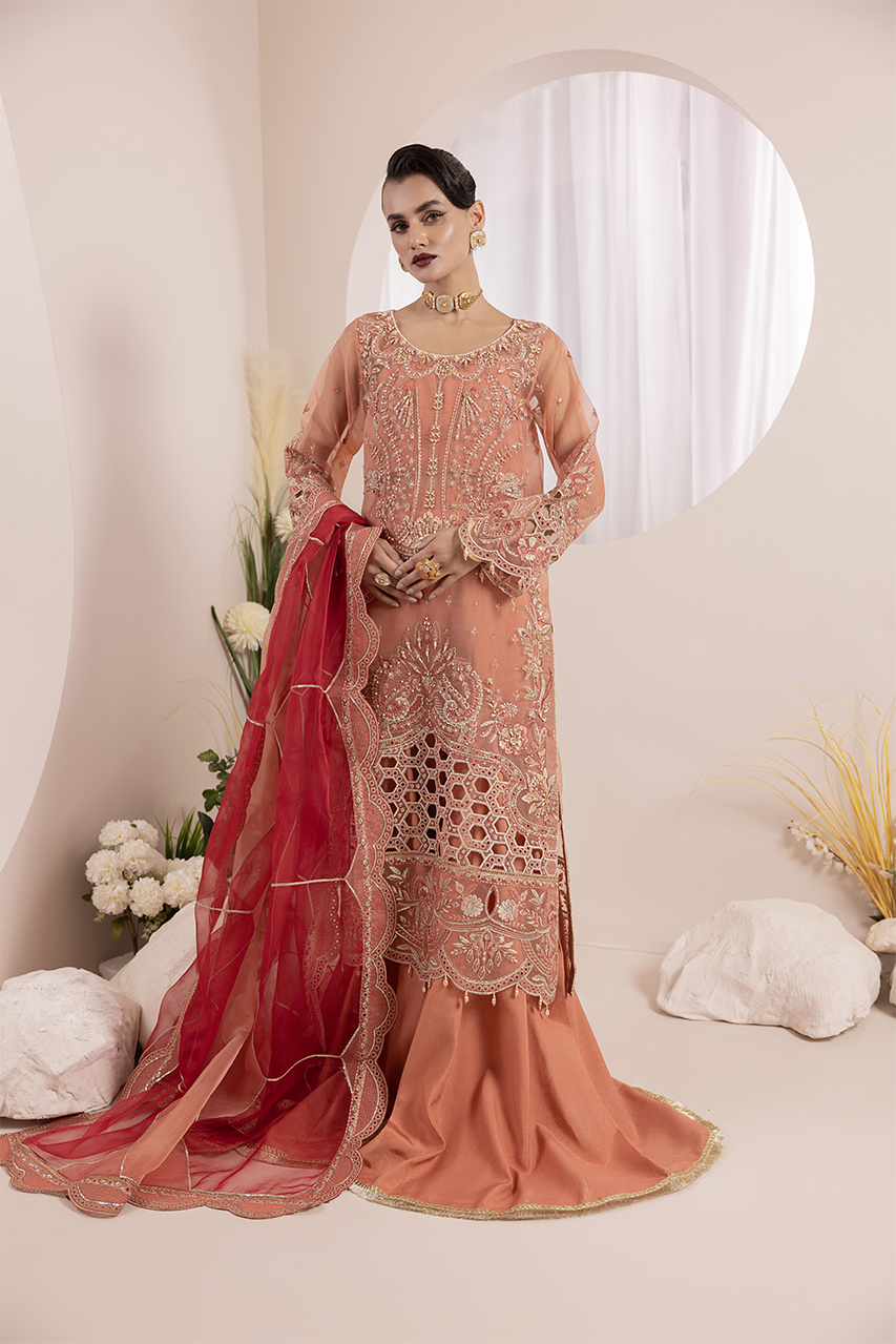 Diara Couture | Aaraish Formals |  NOSHEEN - US-645