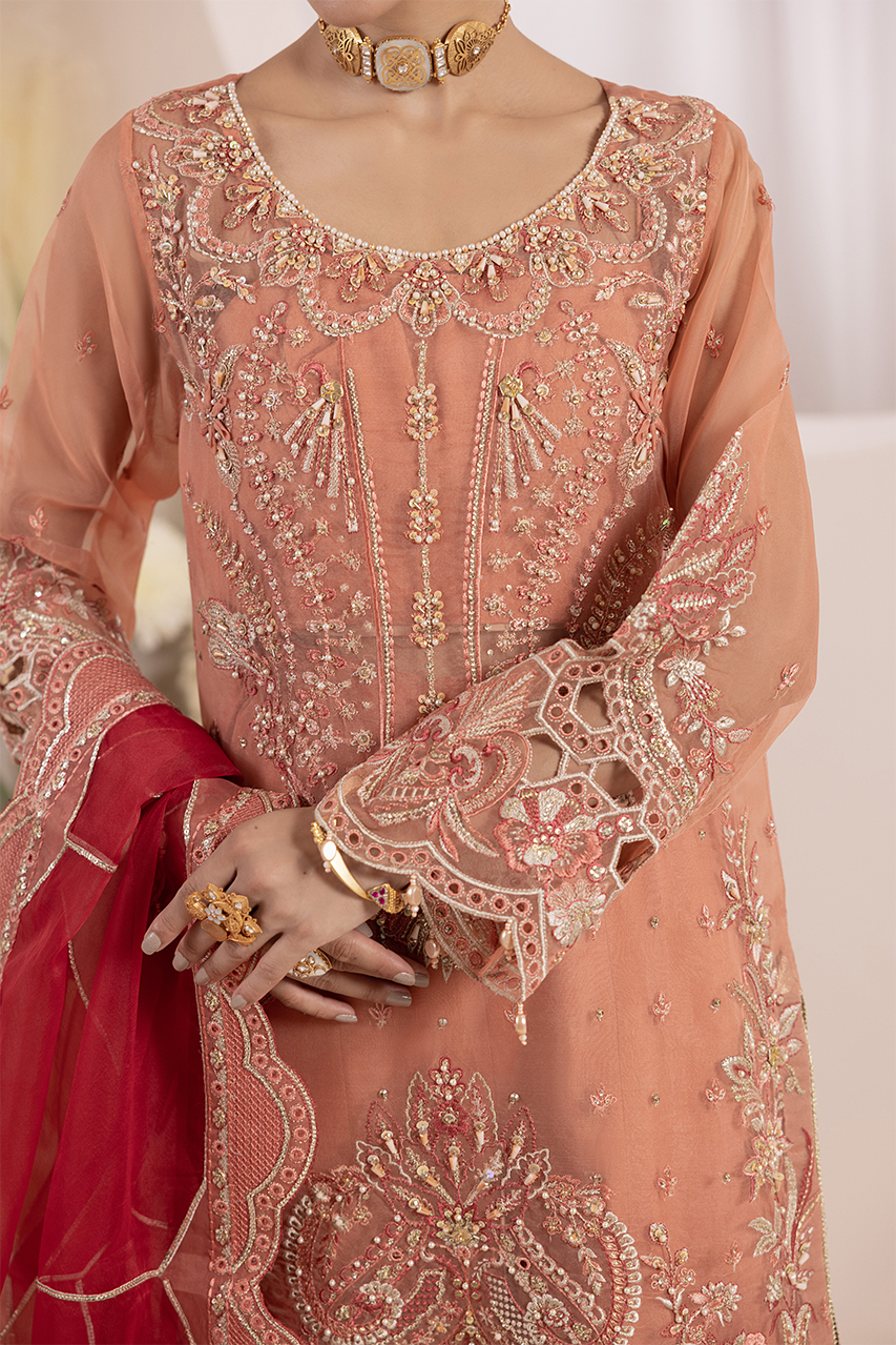 Diara Couture | Aaraish Formals |  NOSHEEN - US-645