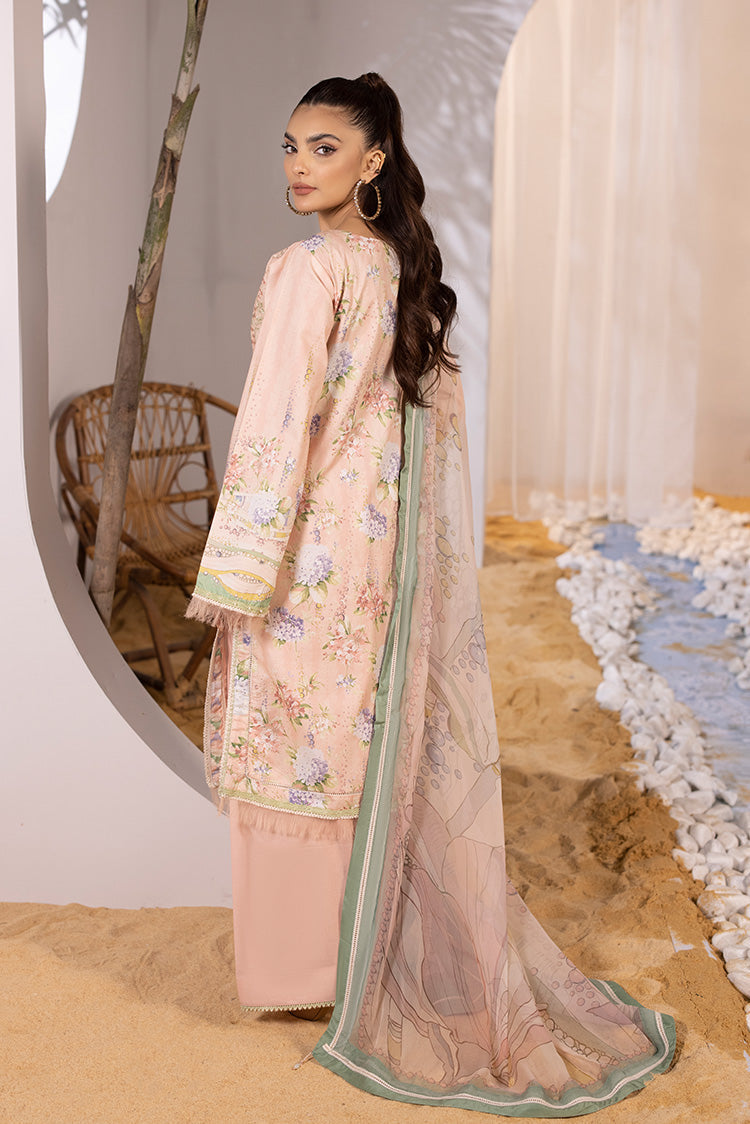 Ellena | Luxury Embroidered Collection|  P-01