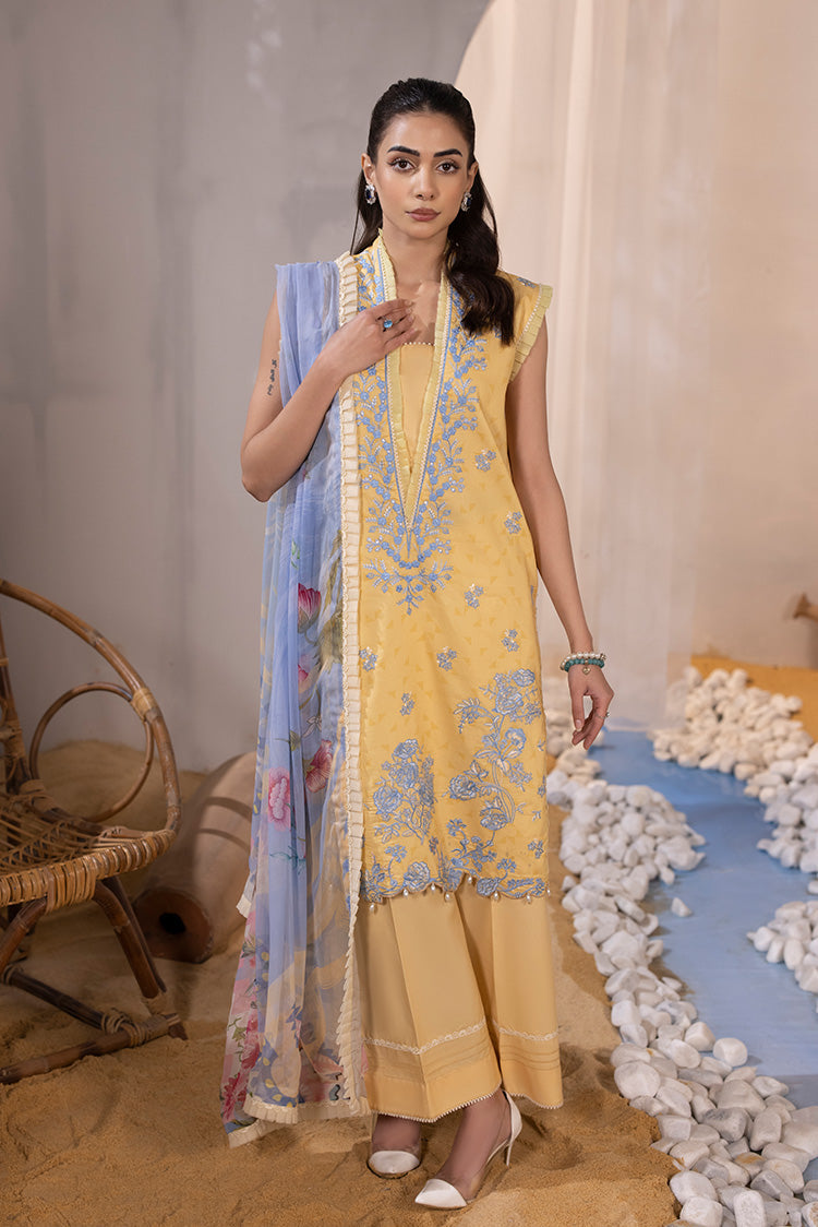 Ellena | Luxury Embroidered Collection|  P-02