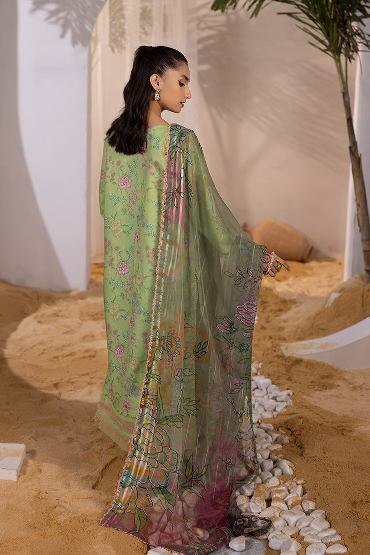 Ellena | Luxury Embroidered Collection|  P-03