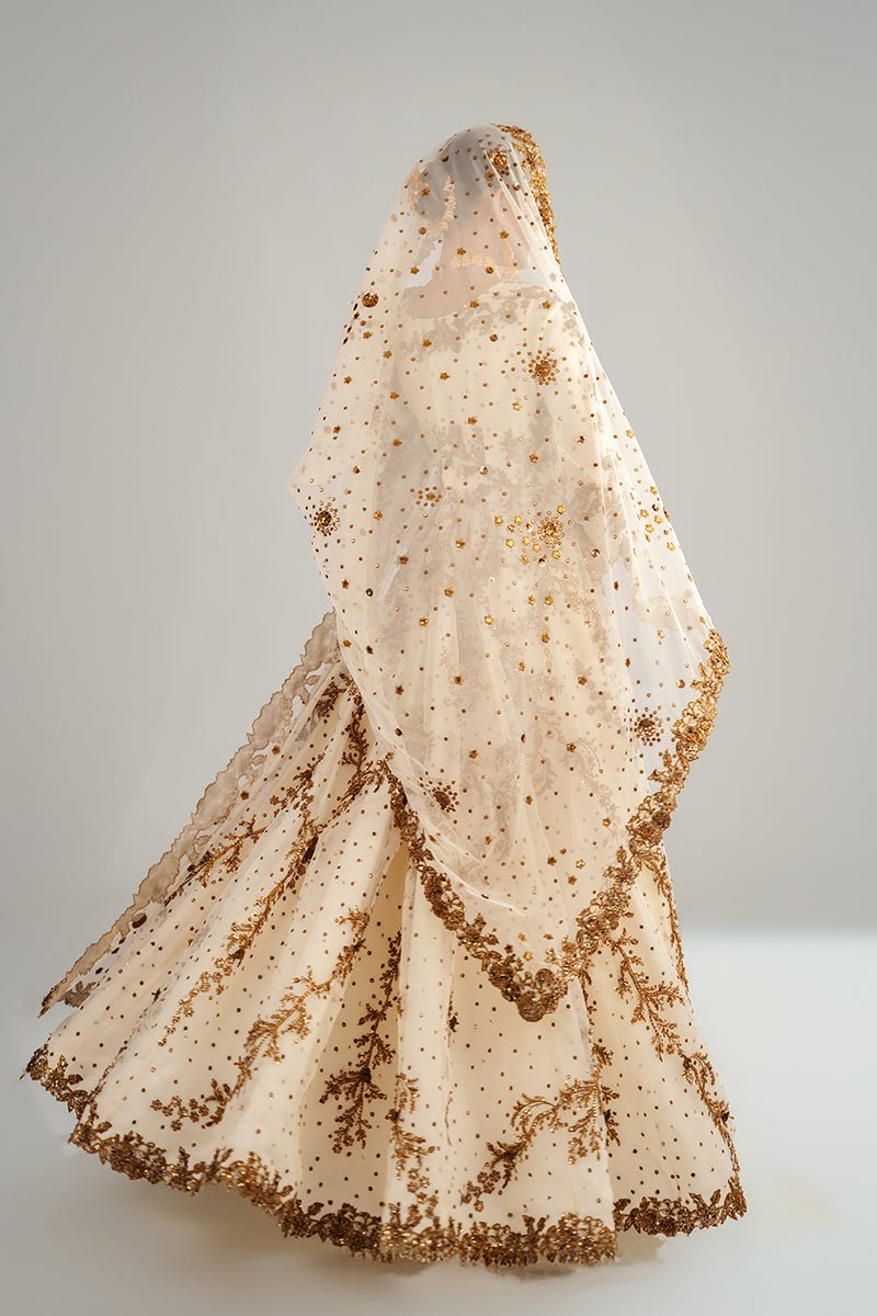 Fahad Hussayn | Formals 2024 | CHANAKPUR