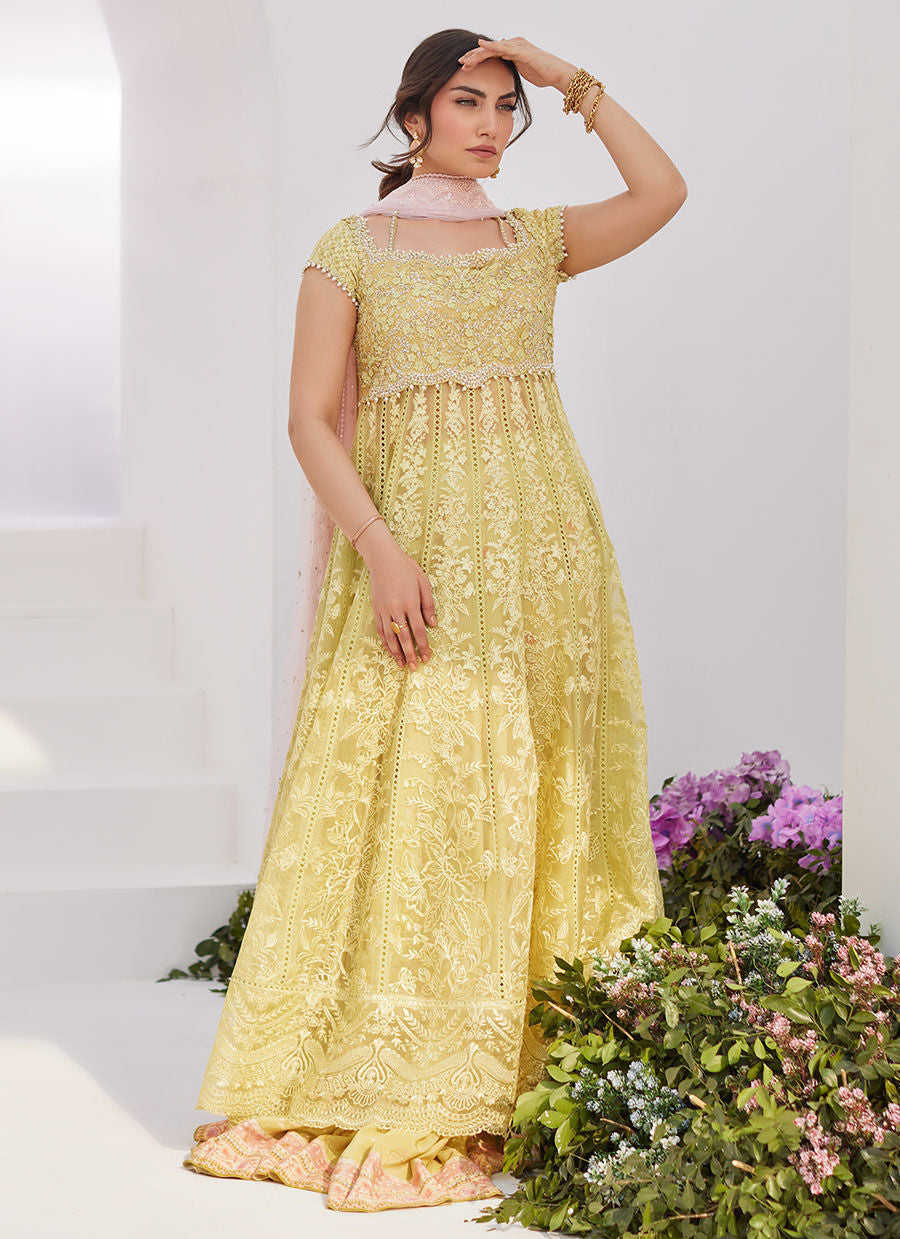 Farah Talib Aziz | Zaza Luxe Pret 24 | REINE KIWI EMBROIDERED EMBELLISHED KALIDAAR