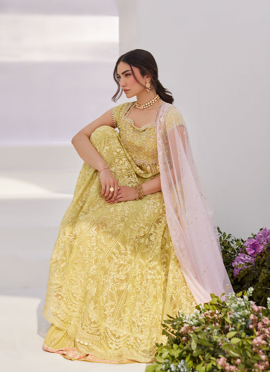 Farah Talib Aziz | Zaza Luxe Pret 24 | REINE KIWI EMBROIDERED EMBELLISHED KALIDAAR