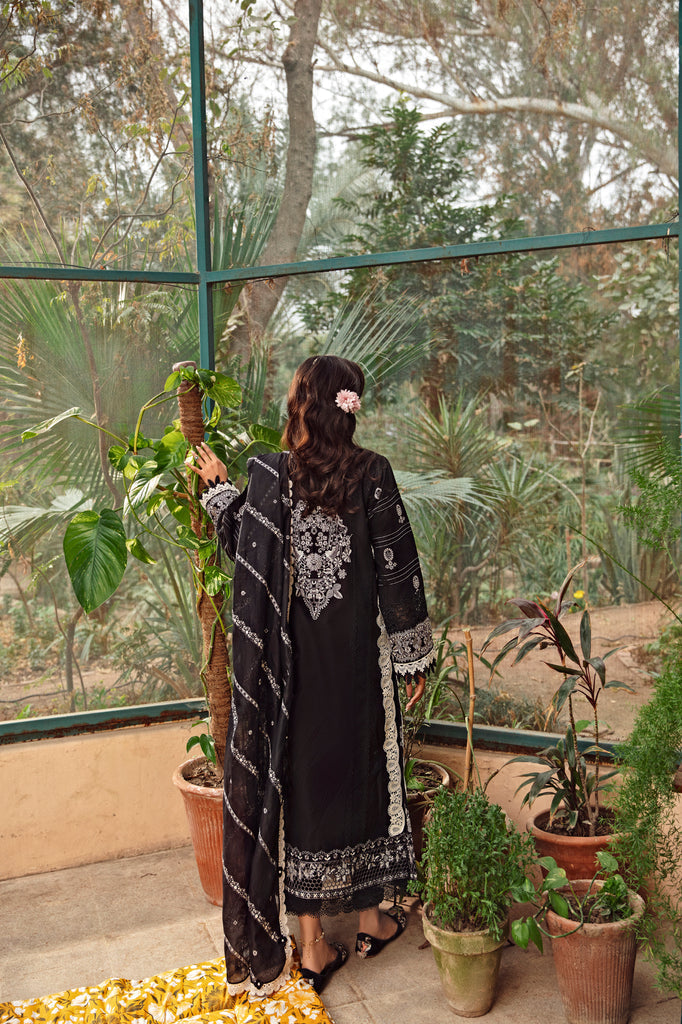 Florent | Luxury Lawn 24 | FFL-6A