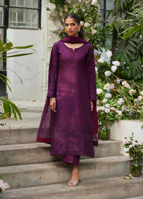 Bin Ilyas | Carnival Summer Edit 25 | Amora