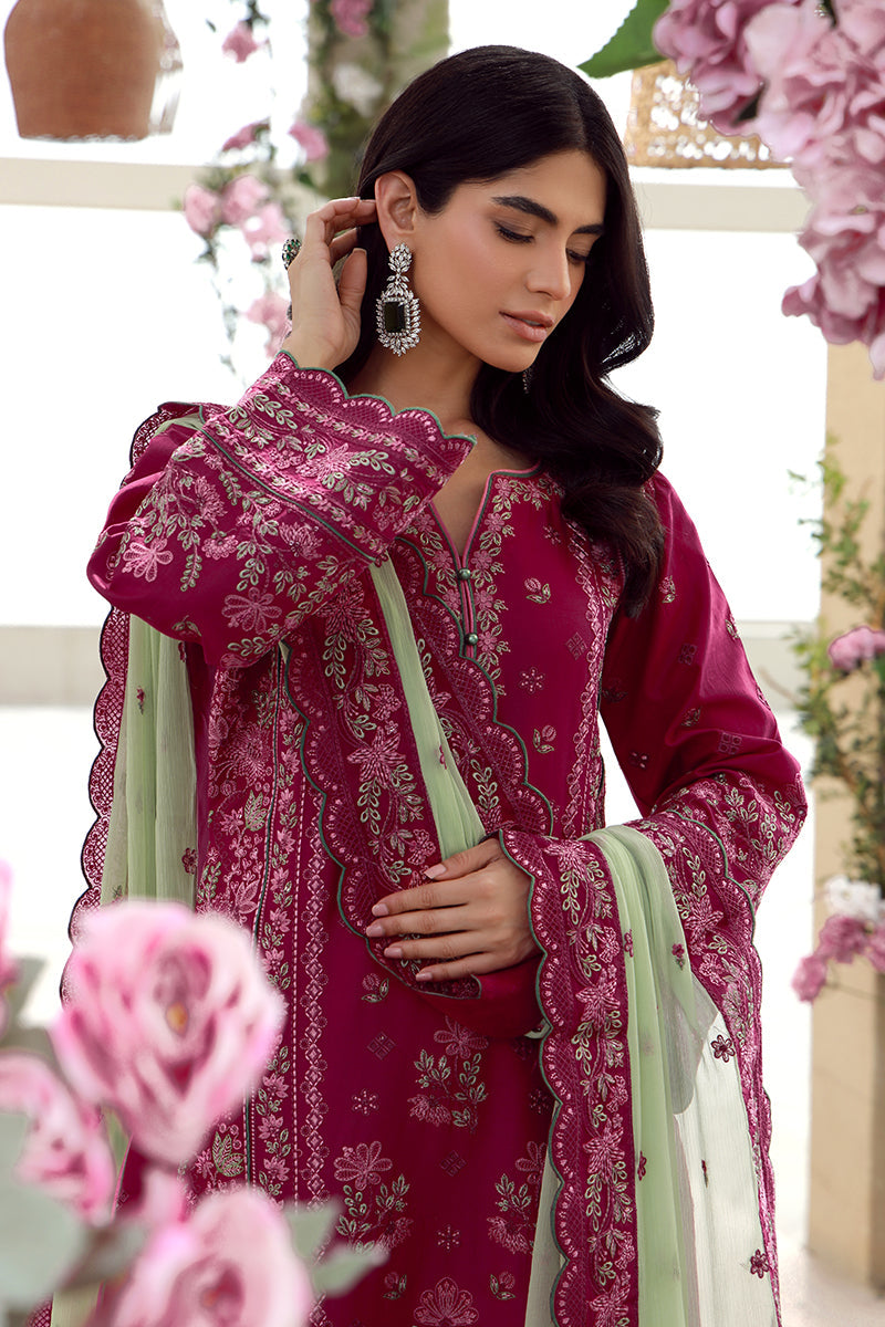 Gulaal | Festive Pret | Aaliyah