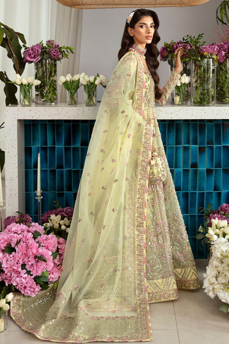 Gulaal | Emalyn Luxury Formals | NOURA