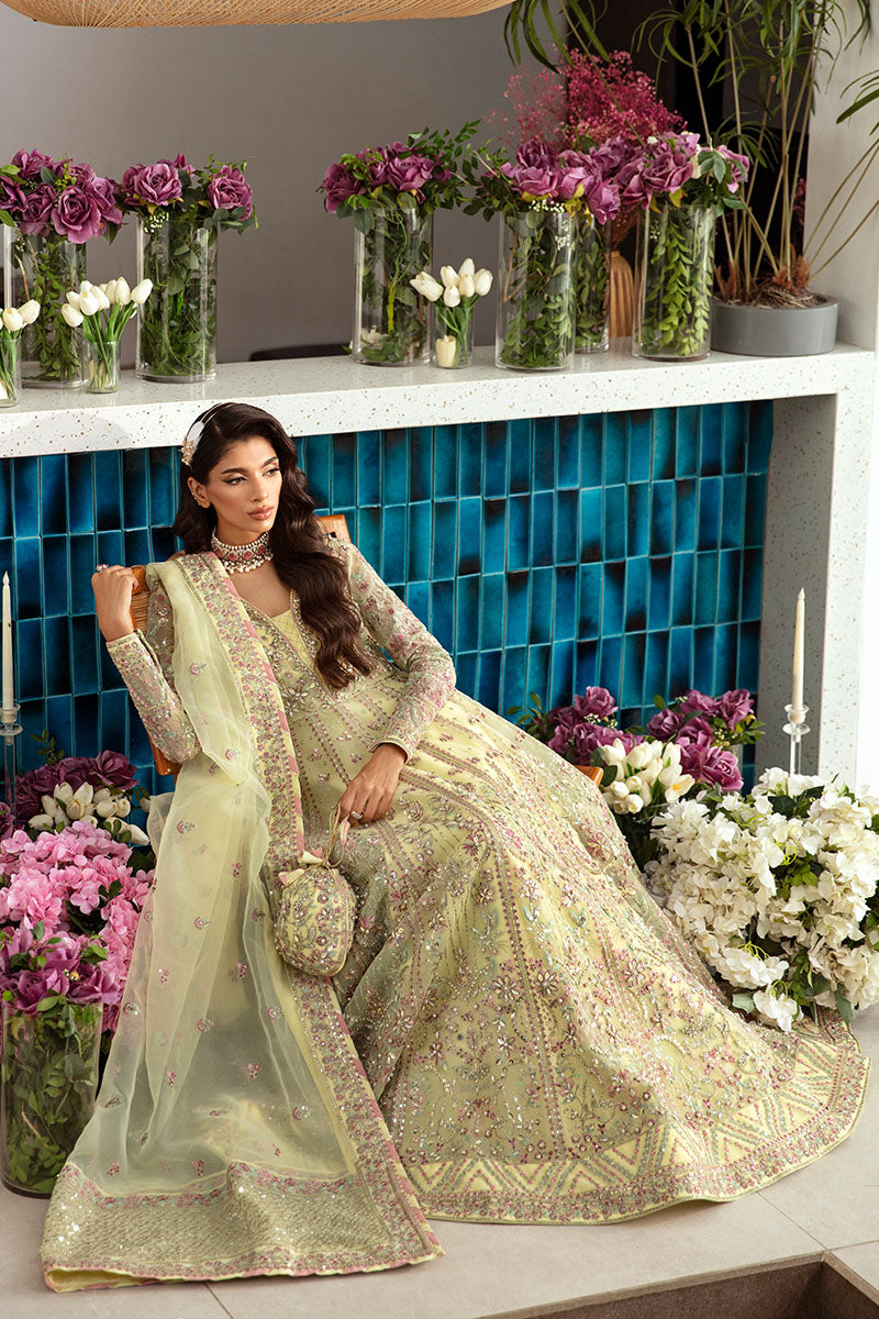 Gulaal | Emalyn Luxury Formals | NOURA